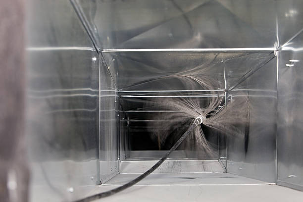 Best Air Duct Mold Removal  in Canterwood, WA